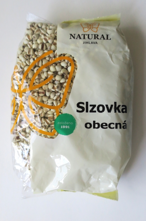 Slzovka obecná (2024)